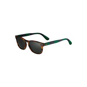 Polo Ralph Lauren Napszemüveg '0PH4170'  zöld / fekete / barna