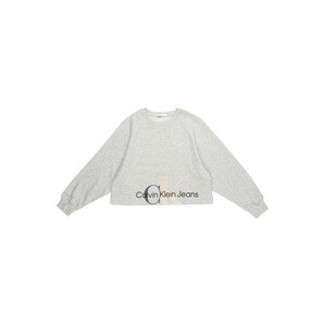Calvin Klein Jeans Sweatshirt  szürke melír / fekete / púder
