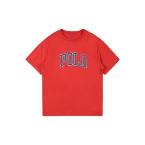 Polo Ralph Lauren Póló  piros / kék / fehér
