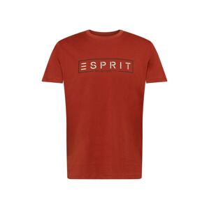 ESPRIT Póló  piros / fehér / fekete