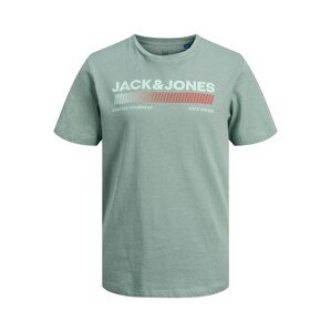 Jack & Jones Junior Póló 'Raymond'  szürke / menta / piros