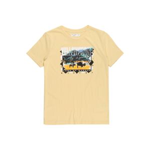 Abercrombie & Fitch Póló  sárga / fűzöld / fekete / fehér / kék