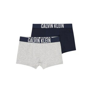 Calvin Klein Underwear Alsónadrág 'Intense Power'  tengerészkék / szürke melír / fehér