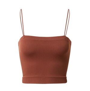 BDG Urban Outfitters Top 'HARRIET'  rozsdabarna