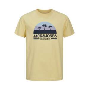 Jack & Jones Junior Póló  tengerészkék / füstkék / limone / levendula