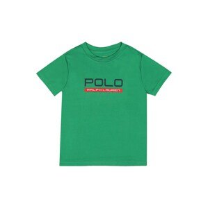 Polo Ralph Lauren Póló  zöld / kék / piros