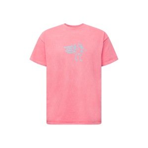 BDG Urban Outfitters Póló  rózsa / világoskék