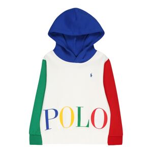 Polo Ralph Lauren Tréning póló  kék / sárga / zöld / piros / fehér