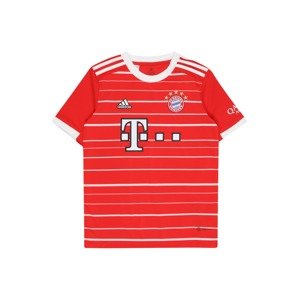 ADIDAS PERFORMANCE Funkcionális felső 'FC Bayern München 22/23'  tűzpiros / fekete / fehér