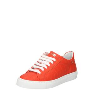 Hide&Jack Rövid szárú sportcipők 'Essence'  piros / fehér