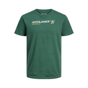 Jack & Jones Plus Póló 'Nate'  zöld / vegyes színek