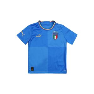 PUMA Funkcionális felső 'Italien 2022'  kék / azúr / vegyes színek