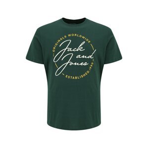 Jack & Jones Plus Póló 'JERRYS'  sötétzöld / fehér / sárga