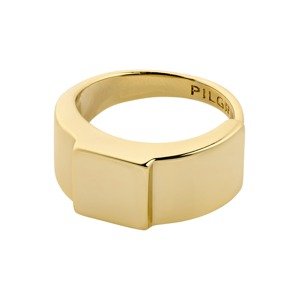 Pilgrim Gyűrűk 'FRIENDS'  arany