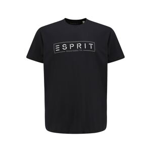 Esprit Big Size Póló  fekete / fehér