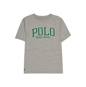 Polo Ralph Lauren Póló  szürke / smaragd / fehér