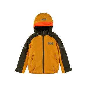 HELLY HANSEN Kültéri kabátok 'LEGEND 2.0'  szürke / sötétzöld / narancs / sötét narancssárga