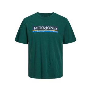 JACK & JONES Póló 'Codyy'  égkék / smaragd / fehér