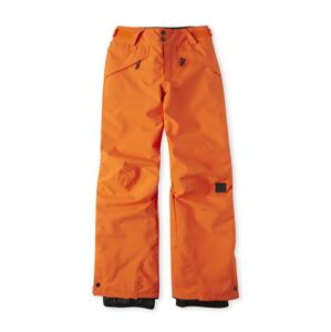 O'NEILL Kültéri nadrágok 'Anvil'  vegyes színek / narancs
