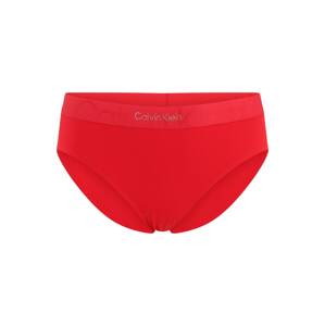 Calvin Klein Underwear Plus Slip  piros / ezüst