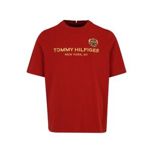 Tommy Hilfiger Big & Tall Póló  sötétkék / arany / piros / fehér
