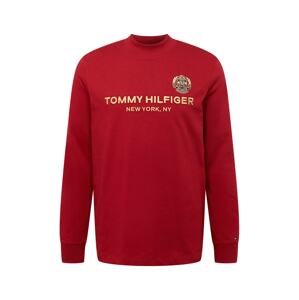 TOMMY HILFIGER Póló  tengerészkék / mustár / piros / fehér