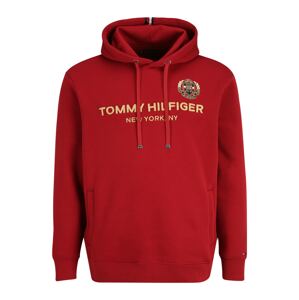 Tommy Hilfiger Big & Tall Tréning póló  barna / aranysárga / piros
