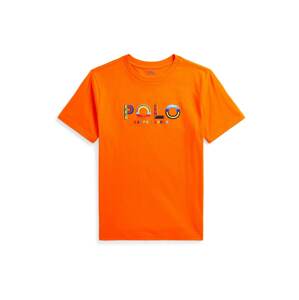 Polo Ralph Lauren Póló  kék / sárga / narancs / piros