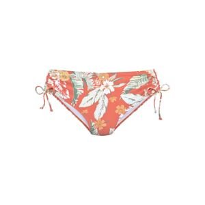 SUNSEEKER Bikini nadrágok  vegyes színek / narancs