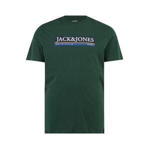 Jack & Jones Plus Póló 'CODYY'  kék / tengerészkék / sötétzöld / fehér