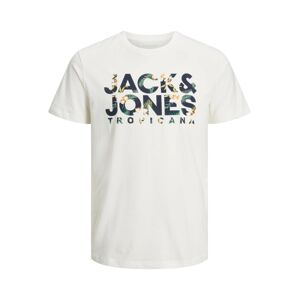 JACK & JONES Póló 'BECS'  tengerészkék / világoszöld / fehér