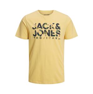 JACK & JONES Póló 'Becs'  tengerészkék / sárga / zöld / fehér