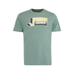 Jack & Jones Plus Póló  pasztellzöld / vegyes színek