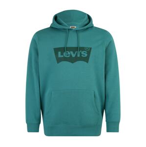 Levi's® Big & Tall Tréning póló  zöld / sötétzöld