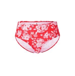 BeckSöndergaard Bikini nadrágok 'Anuhea'  rózsaszín / rózsa / piros