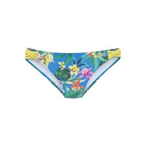VENICE BEACH Bikini nadrágok  kék / zöld / rózsaszín