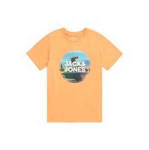 Jack & Jones Junior Póló  vegyes színek / sárgabarack