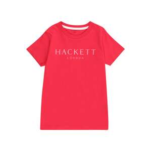 Hackett London Póló  rózsaszín / világospiros