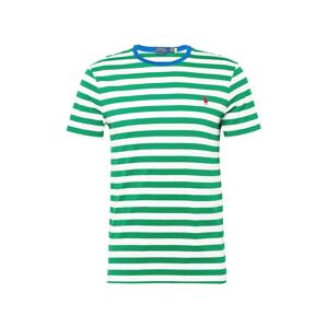 Polo Ralph Lauren Póló  kék / zöld / málna / fehér