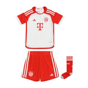 ADIDAS PERFORMANCE Tréningruha 'Fc Bayern 23/24 Home Mini Kit'  világosszürke / piros / fehér