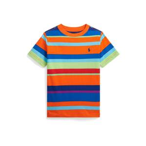 Polo Ralph Lauren Póló  királykék / világoskék / világoszöld / sötét narancssárga