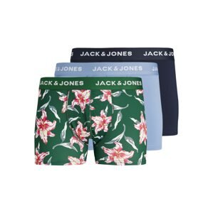 JACK & JONES Boxeralsók  füstkék / sötétzöld / fekete / fehér