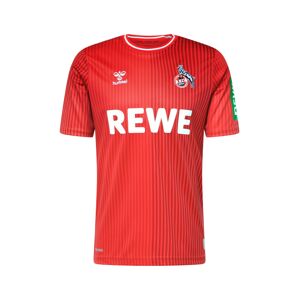 Hummel Funkcionális felső 'FC Köln 23-24 Auswärts'  kék / zöld / piros / fehér