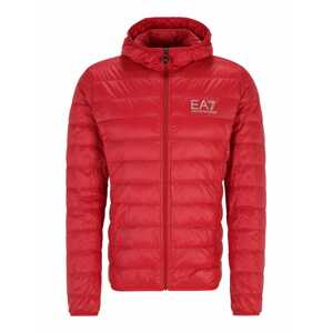 EA7 Emporio Armani Téli dzseki  piros / ezüst