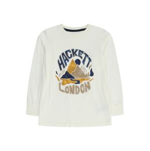 Hackett London Póló  kék / világosbarna / narancs / fehér