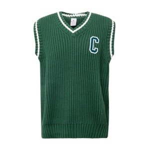 Champion Authentic Athletic Apparel Ujjatlan pulóverek  smaragd / fehér